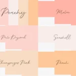 Coolors Custom Palette Wallpapers – Peachy Keen