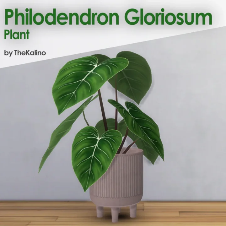 Philodendron Gloriosum