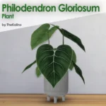 Philodendron Gloriosum