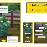 Harvestable Cheese