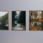 Autumn forest wall prints