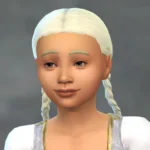 TSM Pigtail Hair for All Ages
