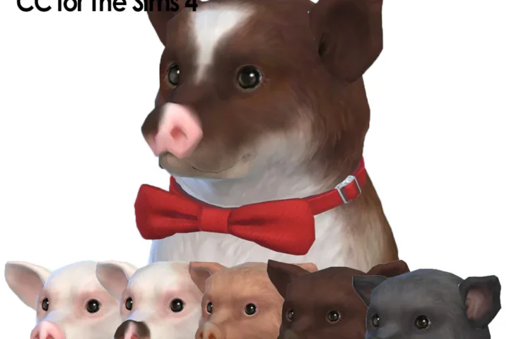 Pig Noses
