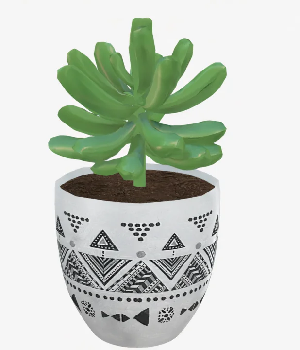 Plant in abstract pot