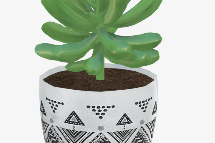 Plant in abstract pot
