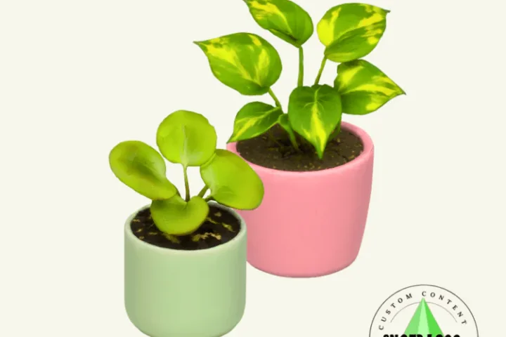 Plant in Pastel Pot