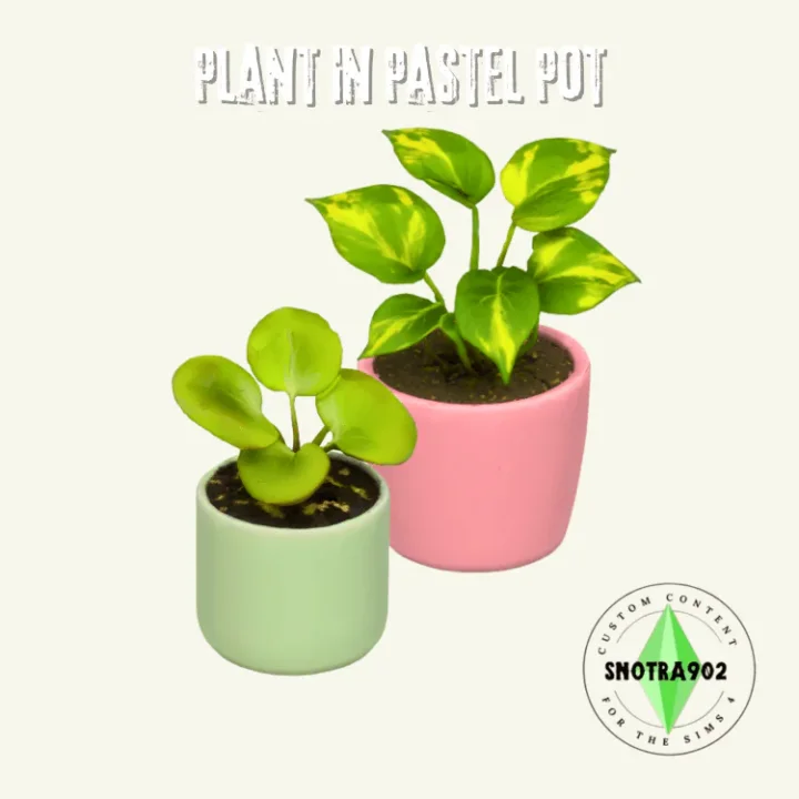Plant in Pastel Pot