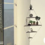Pluteum set (2021)