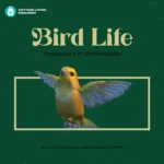 Bird Life