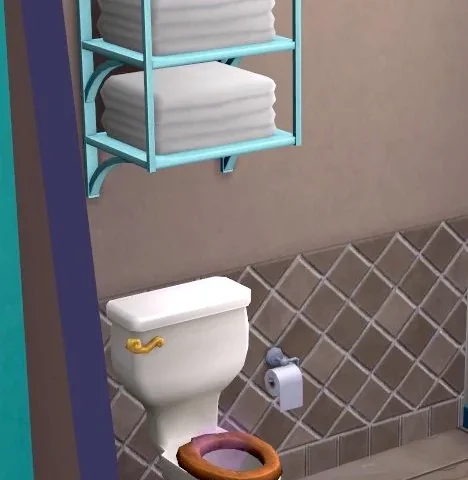 No Toilet Pranks by Goofballs