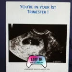 Expanded Pregnancy Interactions