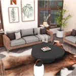 Asiana Living Room
