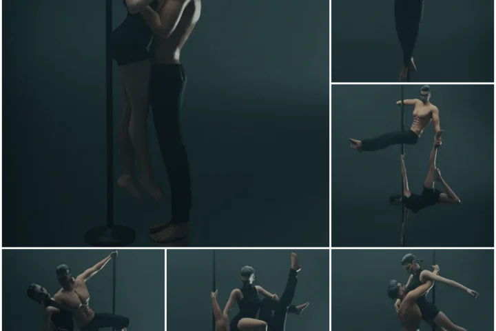 Duo pole dance 2