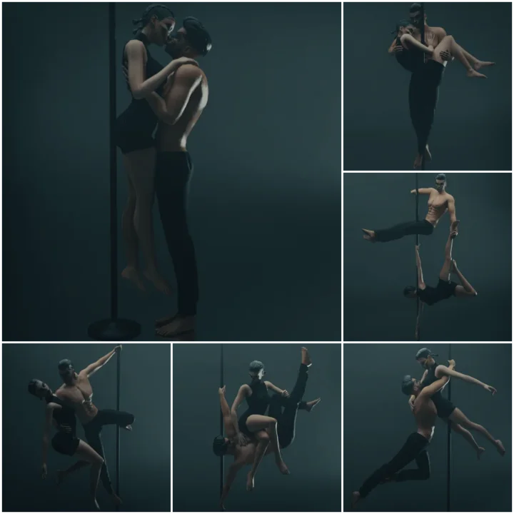 Duo pole dance 2