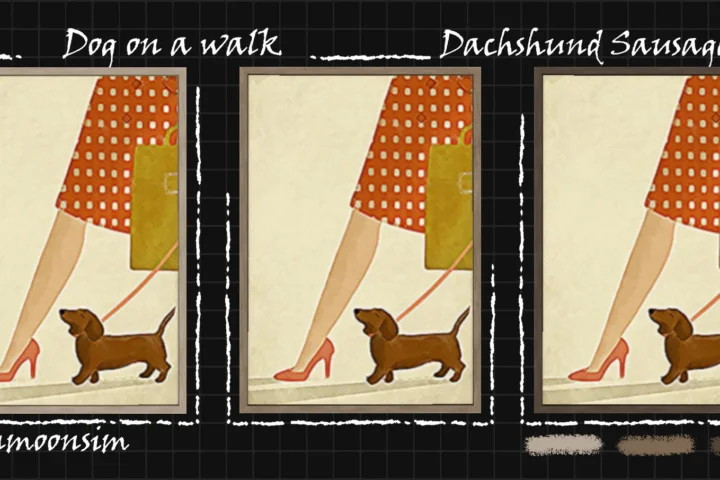Dog on a walk collection "Dachshund Sausage"