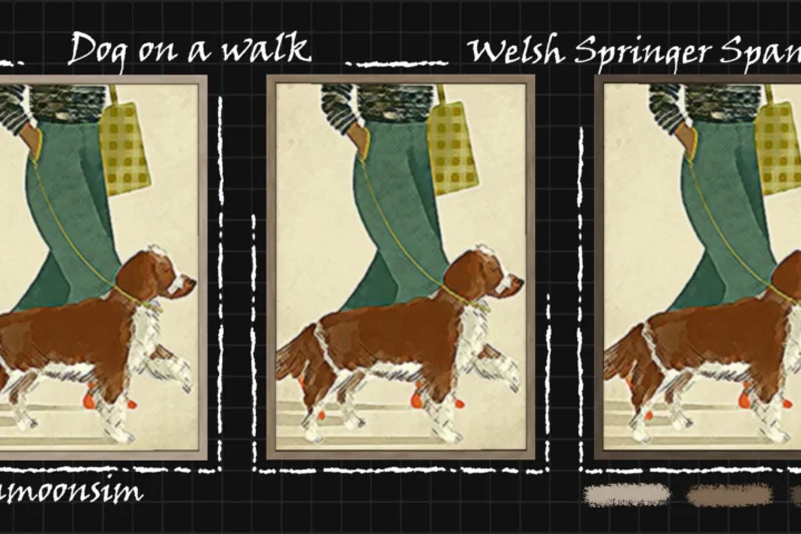 Dog on a walk collection "Welsh Springer Spaniel"