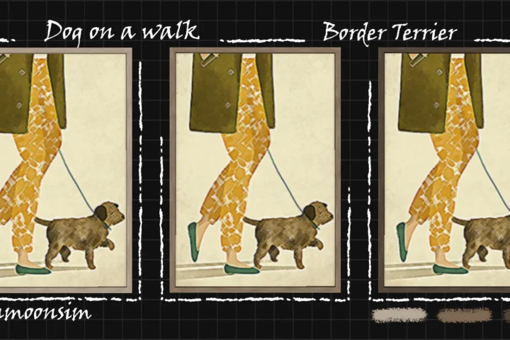 Dog on a walk collection "Border Terrier"