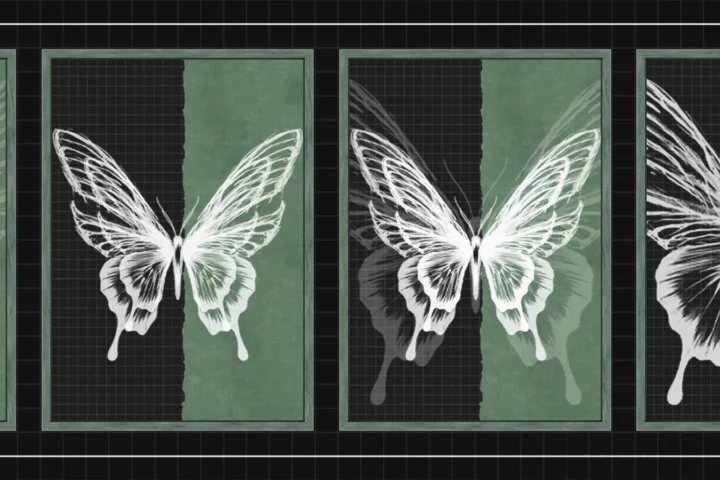 Green Butterfly wall art