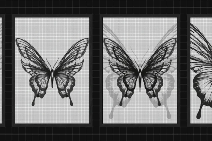 White Butterfly wall art