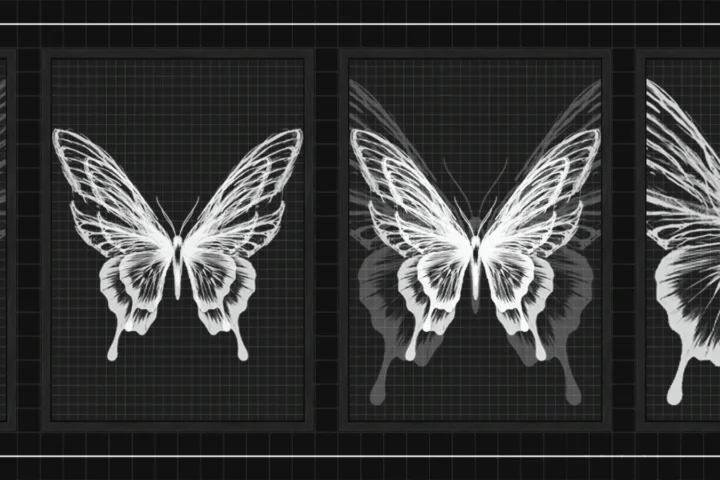 Black Butterfly wall art