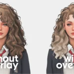 Artemis Hair & Ombre Overlay