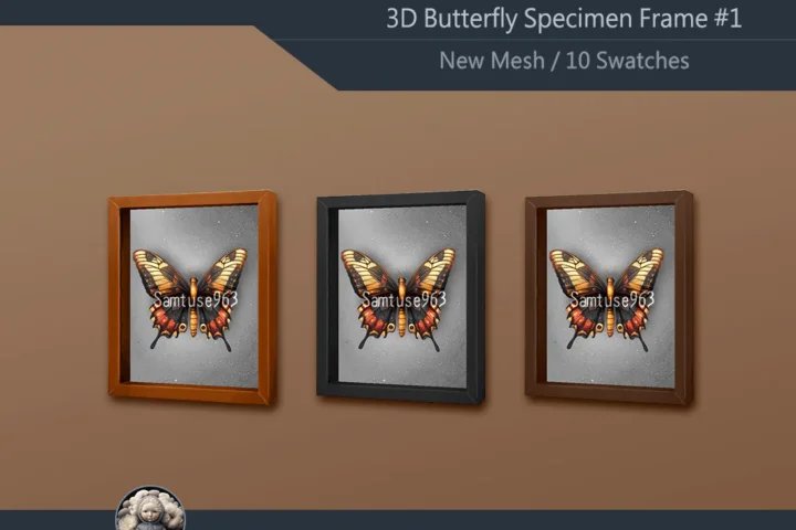 Butterfly Specimen Frame #1 Samtuse963