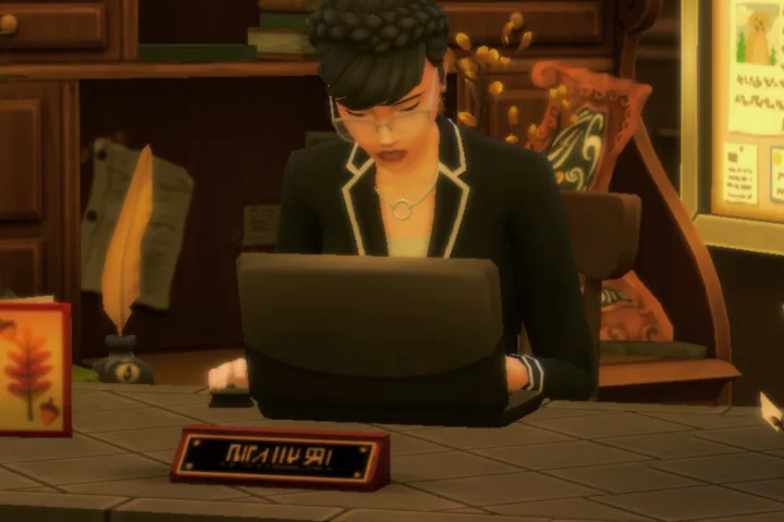 Custom Career - Librarian