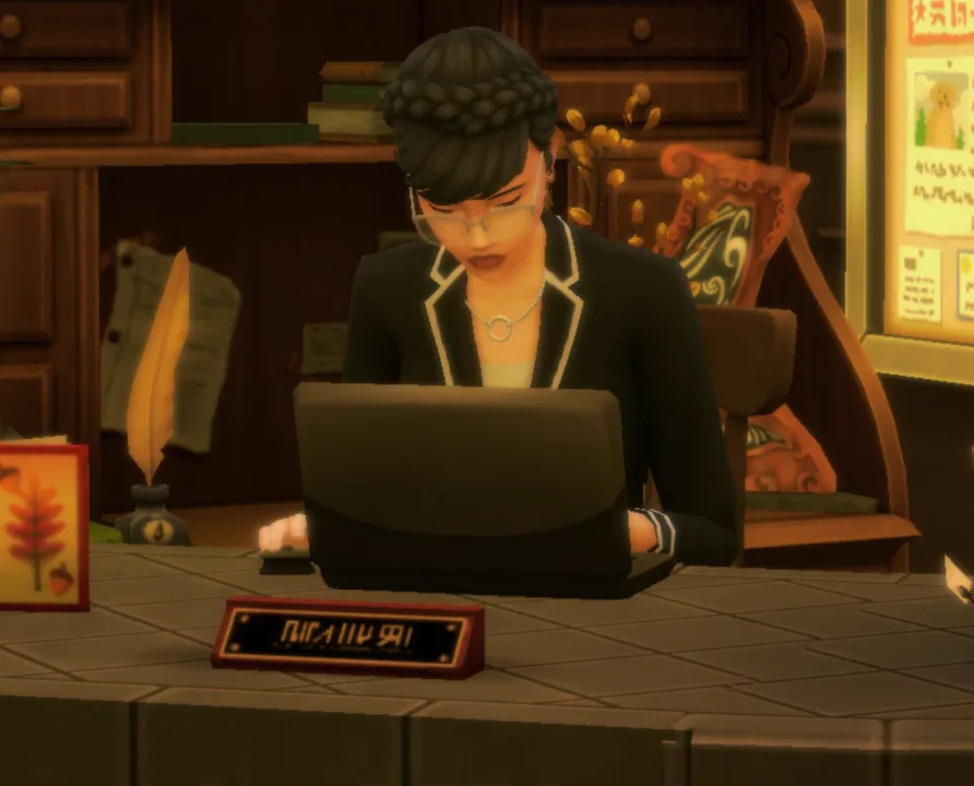 Custom Career - Librarian