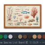 Marine Species List Board #2 Samtuse963