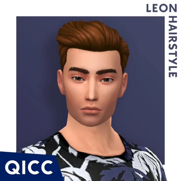 QICC - Leon Hair