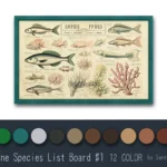 Marine Species List Board #1 Samtuse963