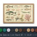 Marine Species List Board #1 Samtuse963