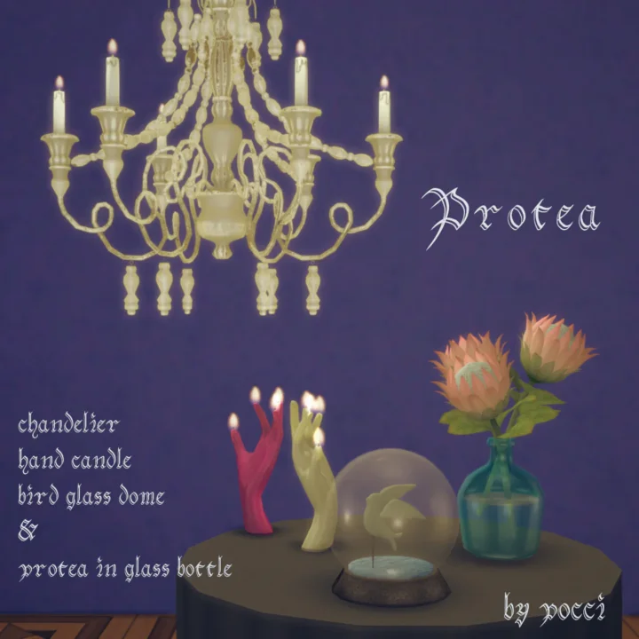 rondom set Protea