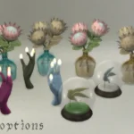 rondom set Protea