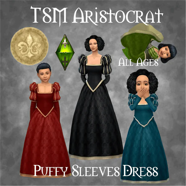 TSM Aristocrat Puffy Sleeves Dress
