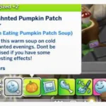 Pumpkin Patch Spiced Soup