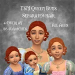 TSM Queen Buns Separated Hair