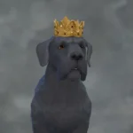 TSM Queen's Crown