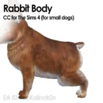 Rabbit (small dog)