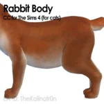 Rabbit (Cat)