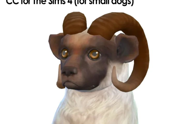 Ram Horn