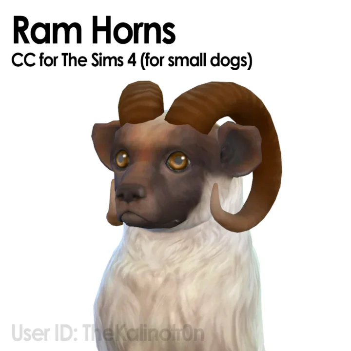 Ram Horn