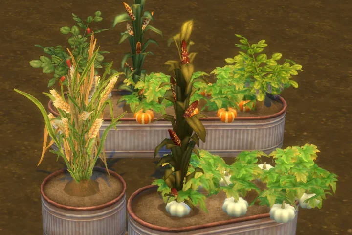 Ranch Metal Planters