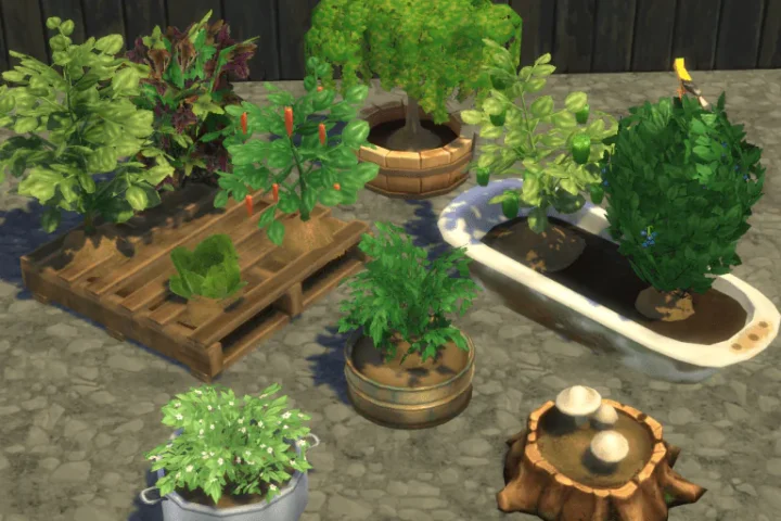 Recycled Planters