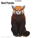 Red Panda - Cat