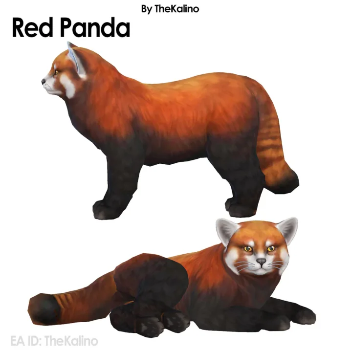 Red Panda - Cat