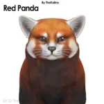 Red Panda - Cat