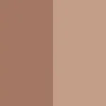 Pantone Paints 2025 Colour of the Year - Relaxed Elegance