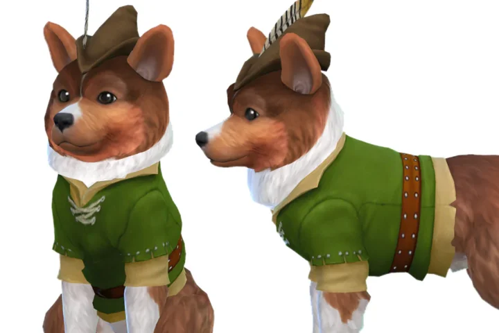 Robin Hood Costume