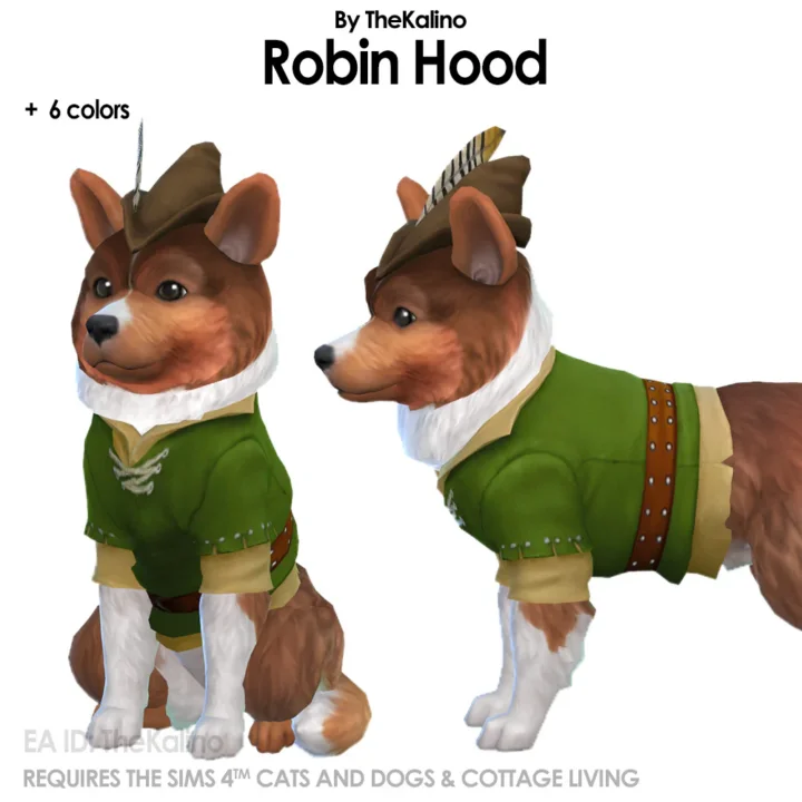 Robin Hood Costume